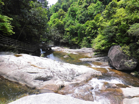 武平梁野山