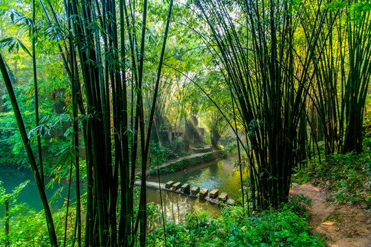 青城后山