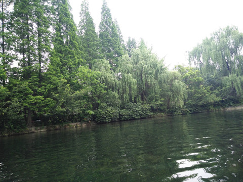 湖邊風(fēng)景