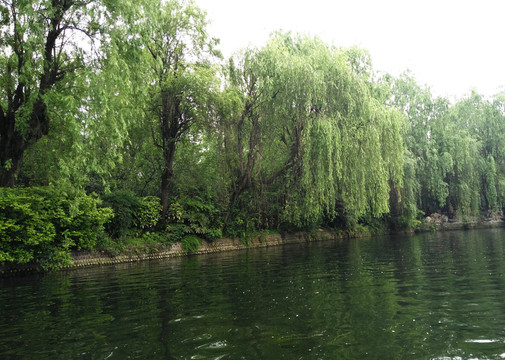 湖邊風景