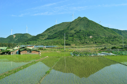 田園風光