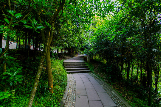 康道