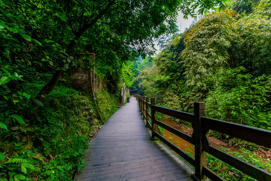 康道