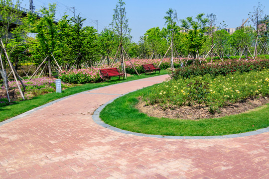 休閑步道 公園小路