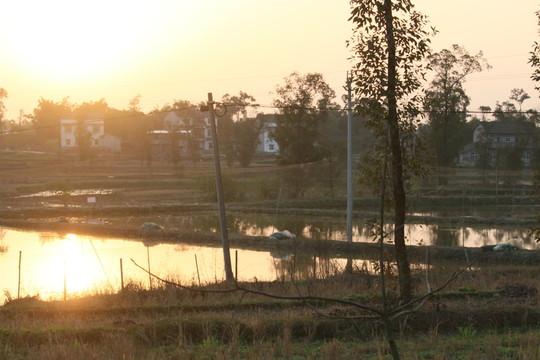 夕陽(yáng)田野