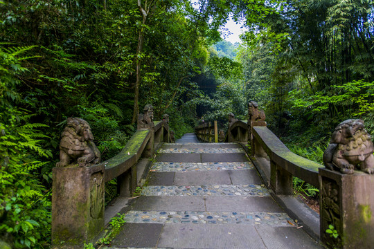 康道