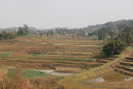 梯田
