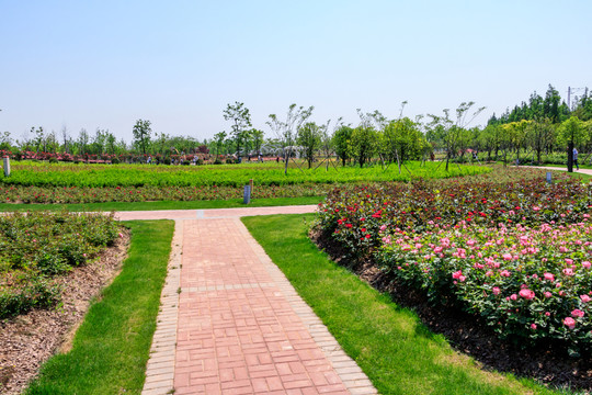 寧波植物園