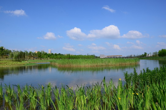 松雅湖