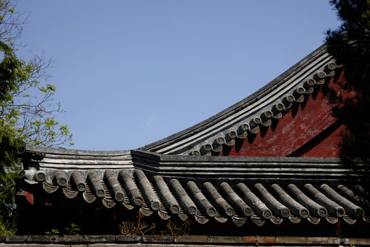 屋脊