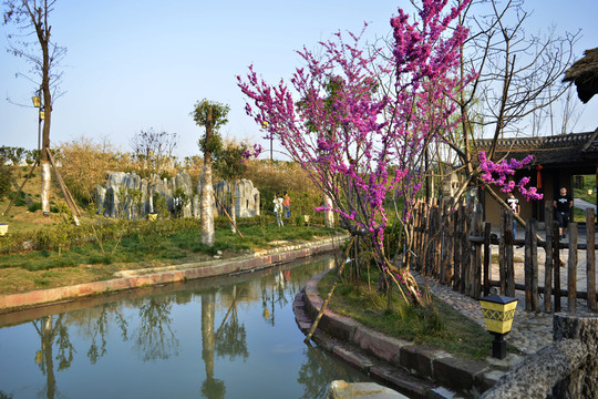 諸葛古鎮(zhèn)旅游