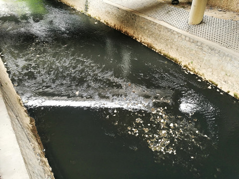 生活城市工業(yè)廢水污染