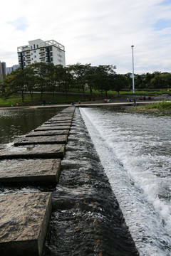 河流小堤壩
