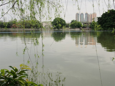 湖泊池塘