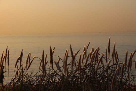 海邊
