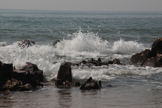 海岸