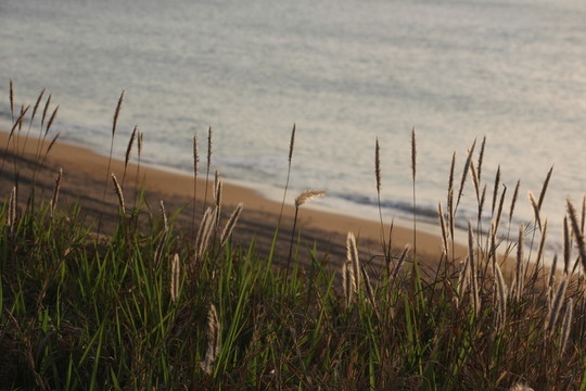 海邊