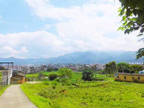 綠色農村