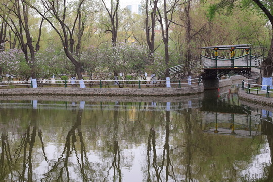 哈爾濱兆麟公園