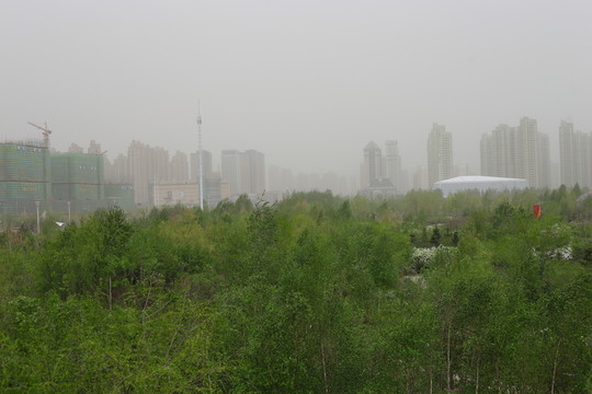 丁香公園