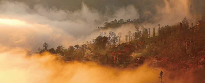 元陽梯田霧山