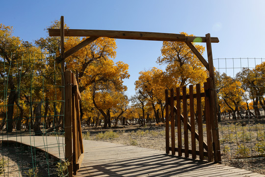 內(nèi)蒙古阿拉善沙漠國家地質公園