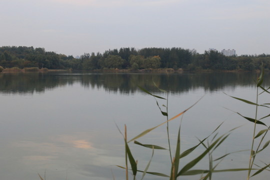 山水風(fēng)景