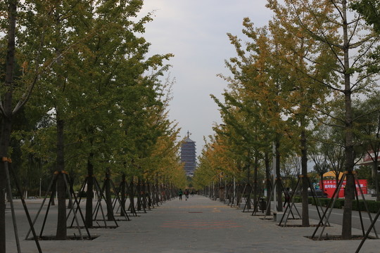 景觀園林