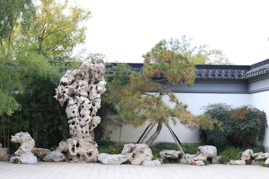 景觀園林