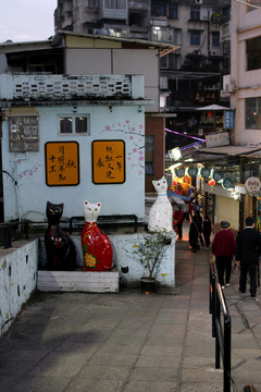 廈門 頂澳仔 貓街 夜景