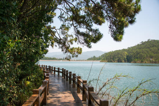 梅子湖棧道
