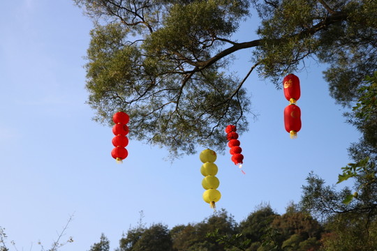 新年燈籠高掛