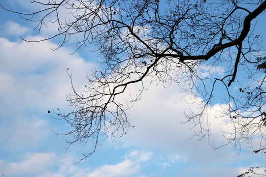 仰望天空