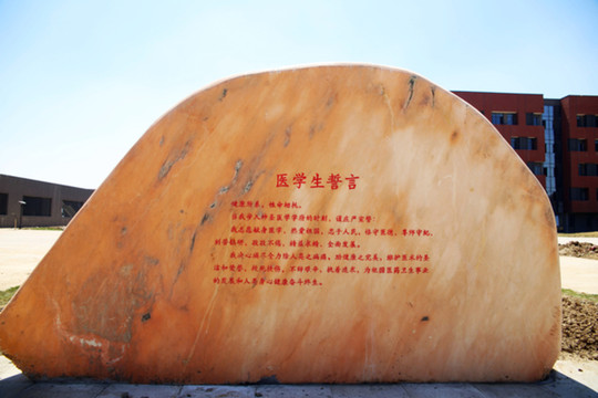 醫(yī)學(xué)生誓言