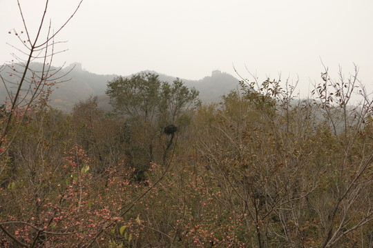 八達(dá)嶺長城