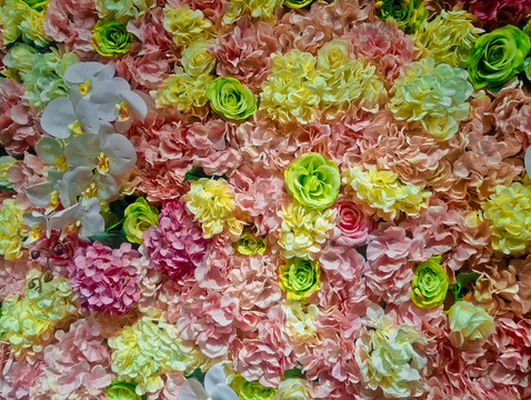 鮮花墻 玫瑰花墻