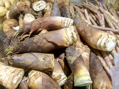 筍殼 竹筍 春筍 筍衣 竹子