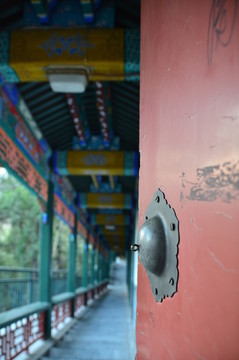 公園走廊