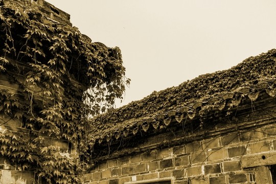 滄?；掖u建筑