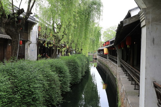 水鄉(xiāng)