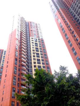 高樓大廈
