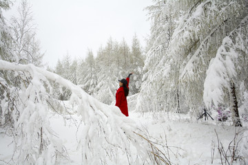 雪松下的紅衣美女