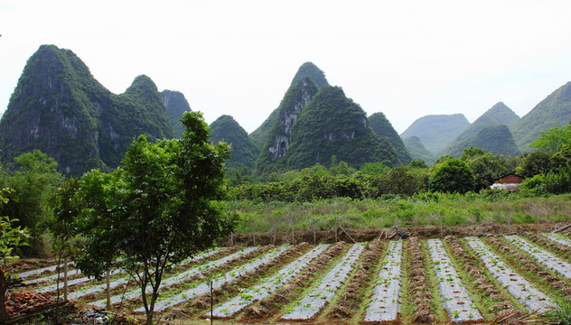 田園山峰