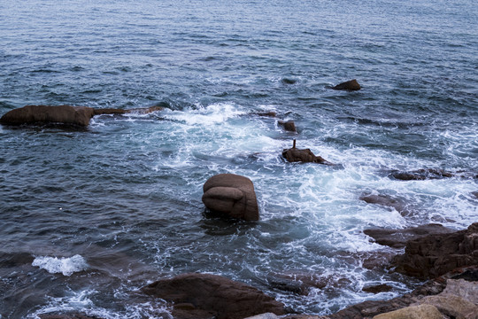 海水礁石