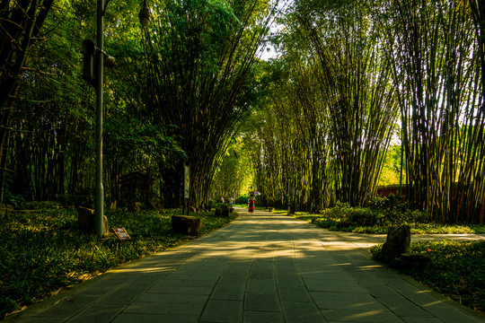 望江公園