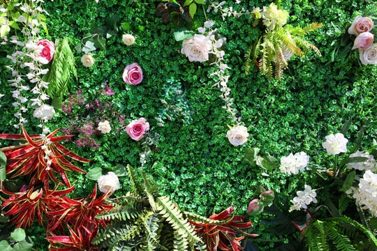 綠色植物墻 花墻 綠植