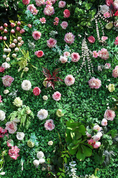 綠色植物墻 花墻 綠植