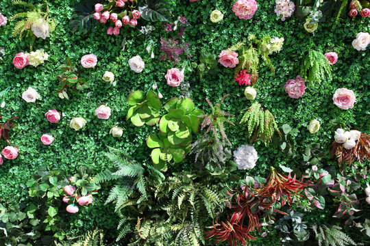 綠色植物墻 花墻 綠植