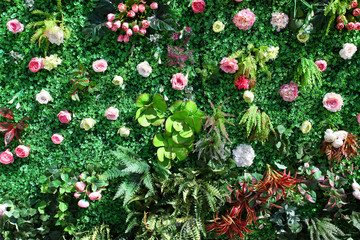 綠色植物墻 花墻 綠植