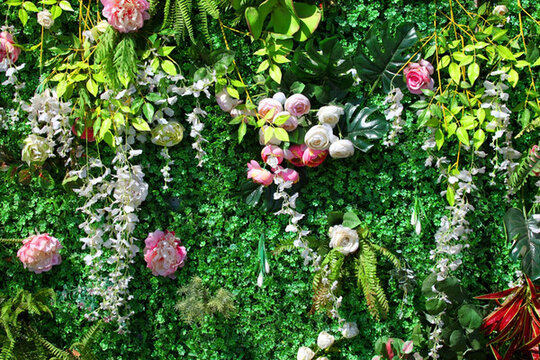 綠色植物墻